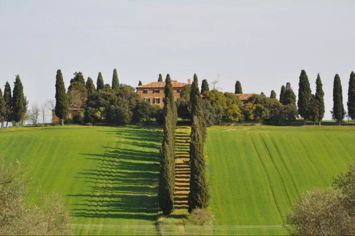 Tuscany Day Trip from Rome for Small Groups with Wine Tasting and Lunch