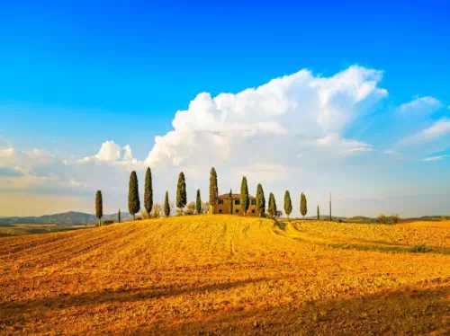 Tuscany Day Trip from Rome for Small Groups with Wine Tasting and Lunch