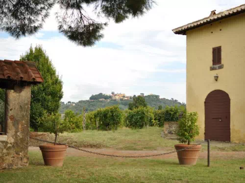Rome Countryside Frascati Vineyard Tour with Wine Tasting