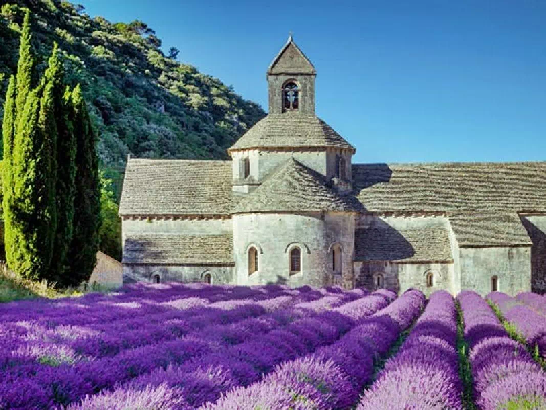 Provence from Paris by TGV Train with Summer Option to Visit Lavender Fields