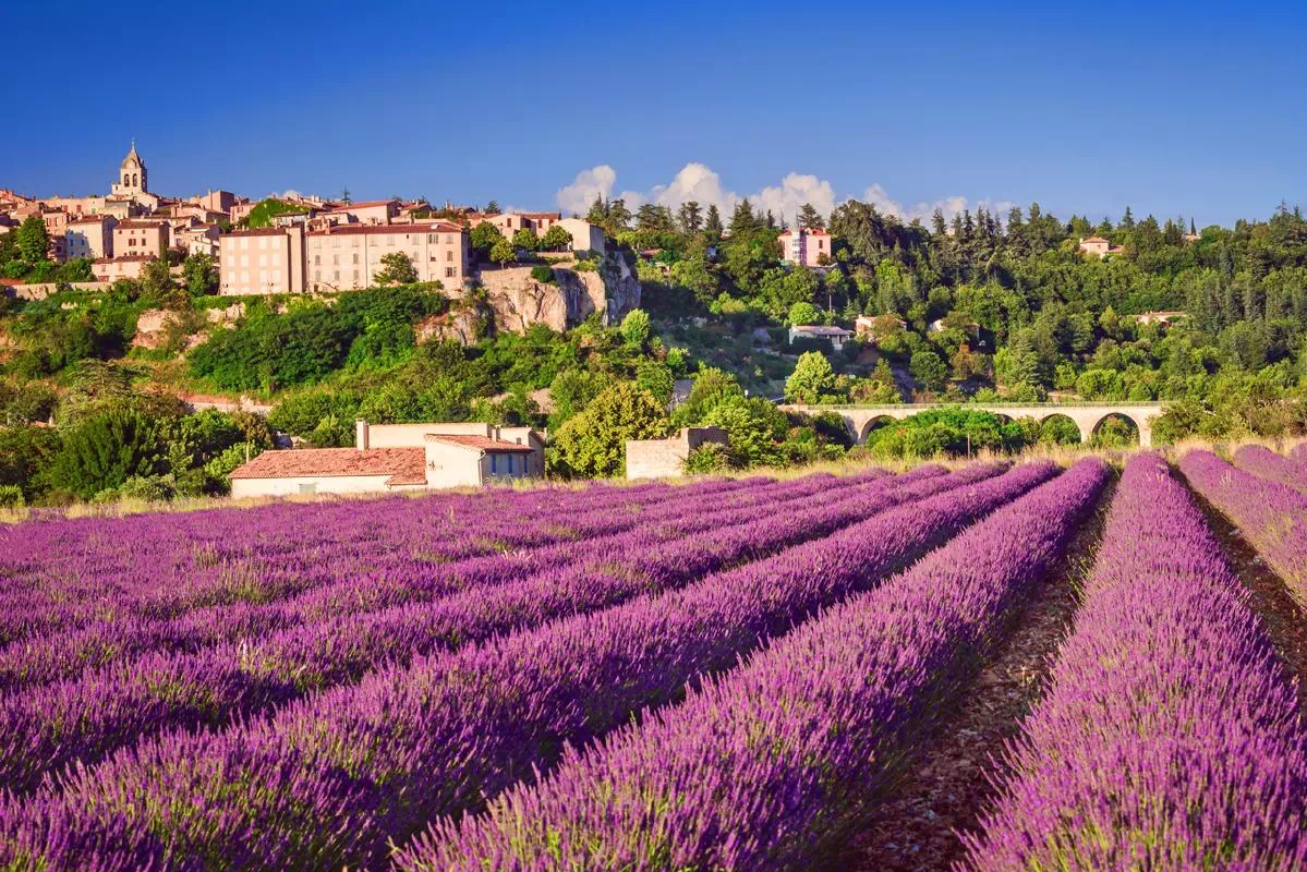 2-Day Provence Highlight Tour with Overnight Stay and Train Tickets from Paris