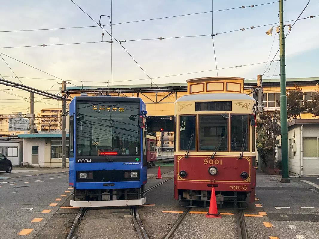 Tokyo Cultural Walking Tour with Toden Arakawa Sakura Tram Ride
