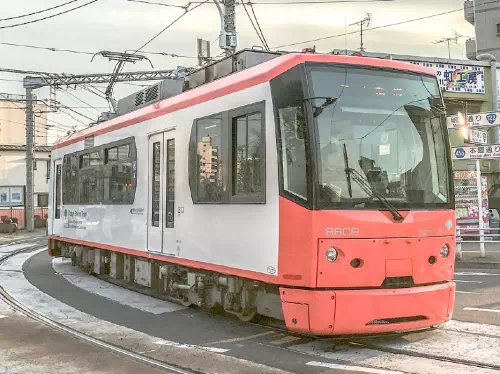 Tokyo Cultural Walking Tour with Toden Arakawa Sakura Tram Ride