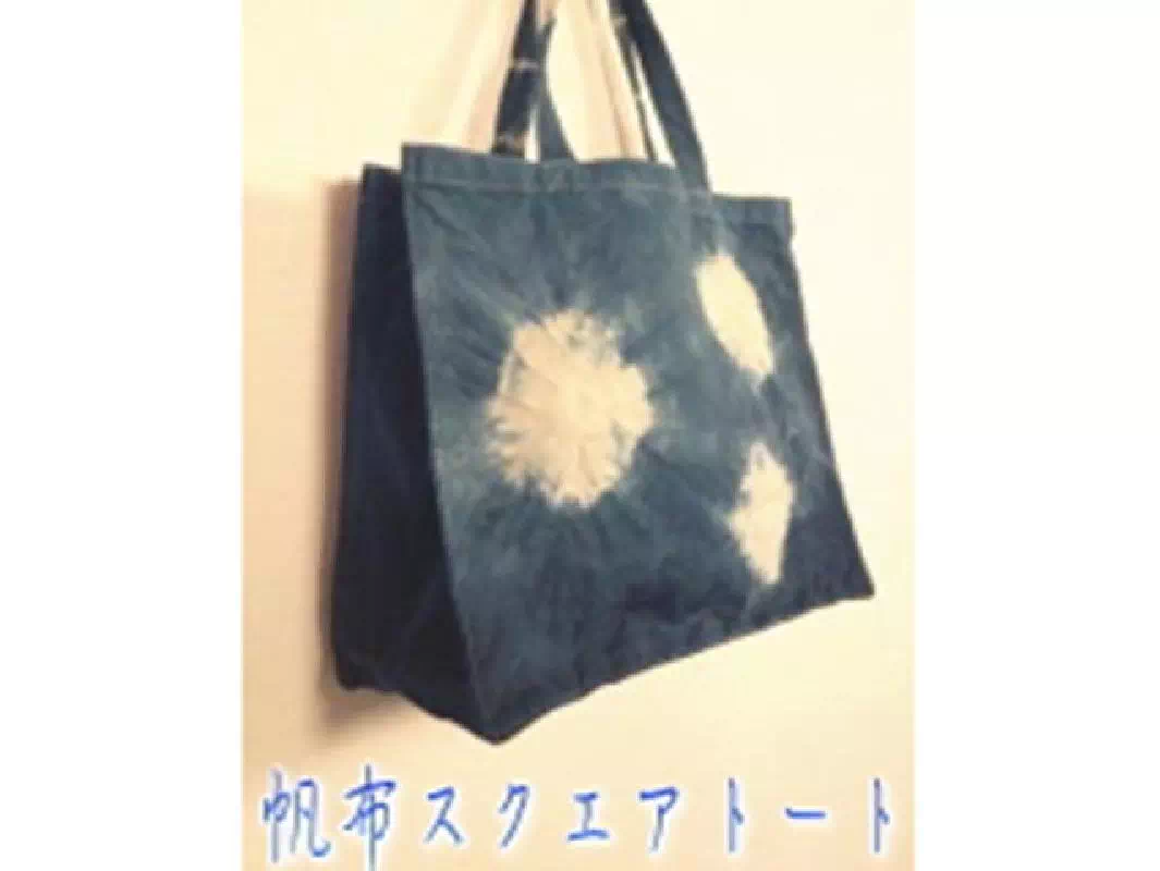 Traditional Cloth and T-Shirt Indigo Dyeing Workshop in Asakusa