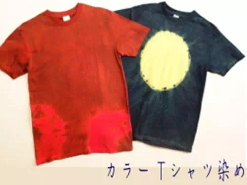 Traditional Cloth and T-Shirt Indigo Dyeing Workshop in Asakusa