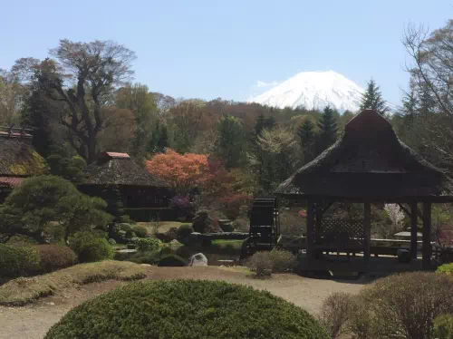 Private Mt. Fuji & Hakone or Lake Kawaguchi Tour from Tokyo with Photographer
