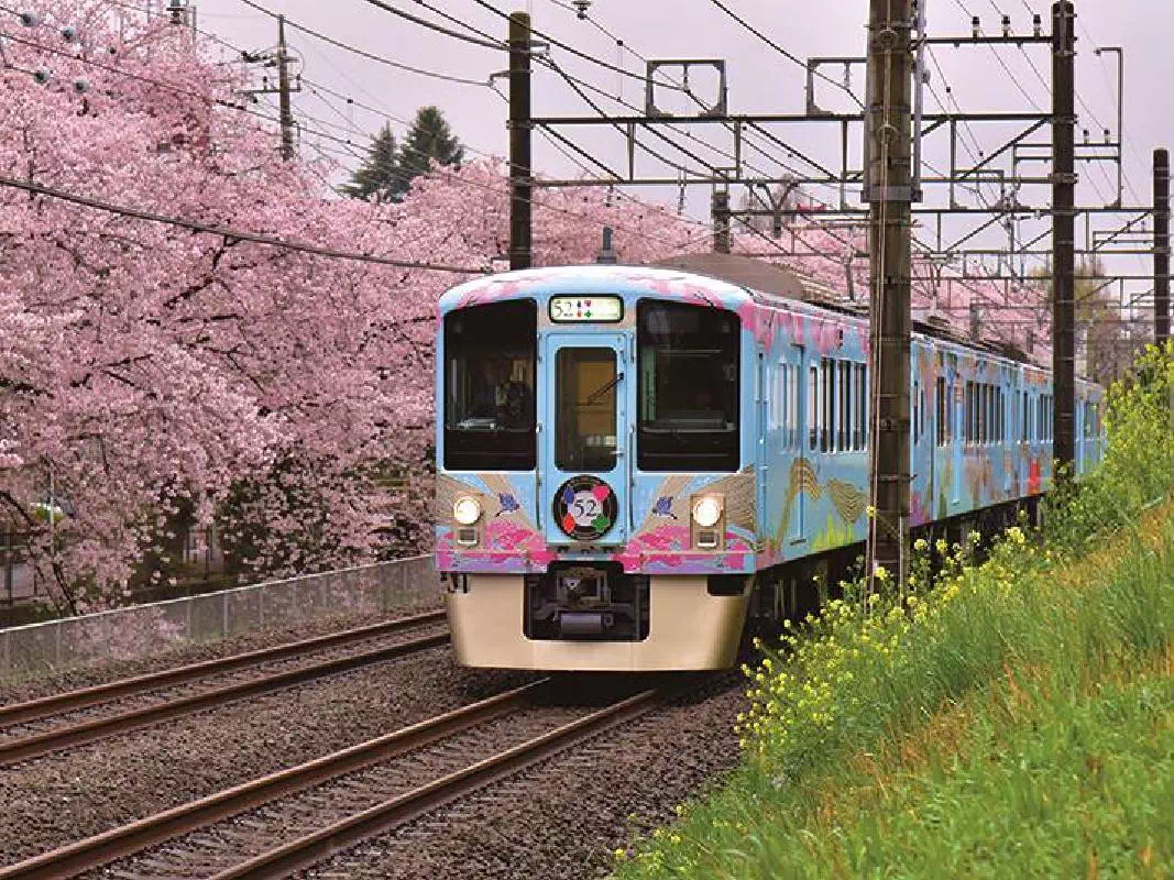 SEIBU 1 Day Discount Train Pass for Tokyo and Saitama