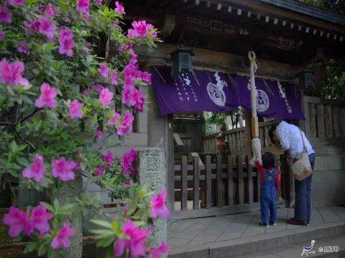 Yanaka Cultural Walking Tour with Yanaka Ginza Shopping Street & Nezu Shrine