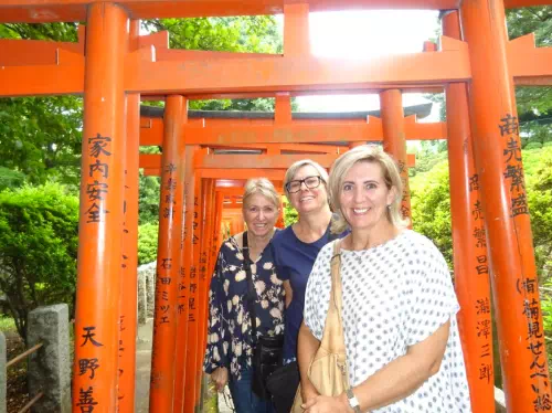 Yanaka Cultural Walking Tour with Yanaka Ginza Shopping Street & Nezu Shrine