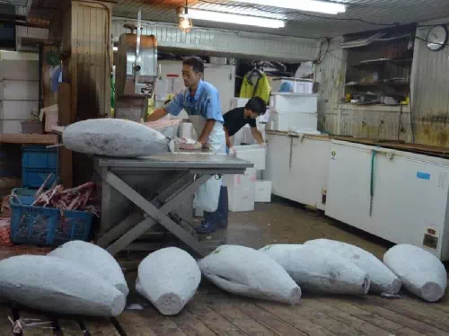 Tsukiji Fish Market Morning Food Tour with Breakfast