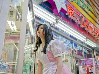 Akihabara Tour with a Maid Guide