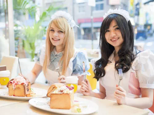 Akihabara Otaku Culture Tour with a Maid Guide (3 Languages Available)