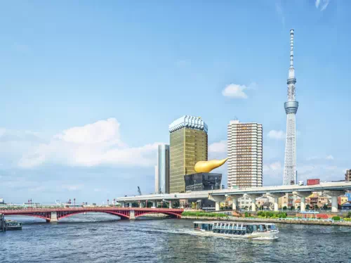Tokyo 1-Day Private Tour with Haneda Airport Transfer