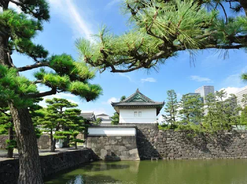 Tokyo 1-Day Private Tour with Haneda Airport Transfer