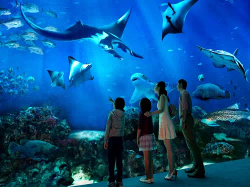 Universal Studios Singapore and S.E.A. Aquarium™ Admission with Hotel Pick-up