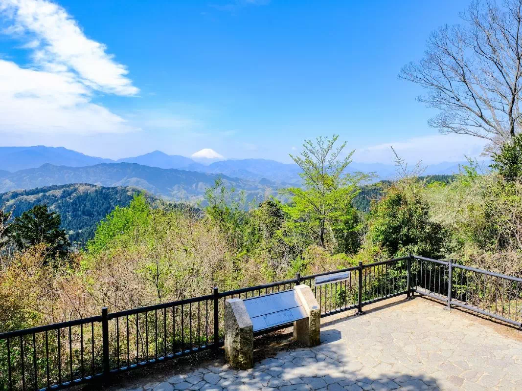 Mt. Takao Self-Guided 1-Day Hiking Tour with Private Charter from Tokyo