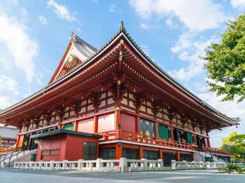 Tokyo Bus Tour to Meiji Shrine & Asakusa with Tokyo Skytree & Tokyo Bay Cruise