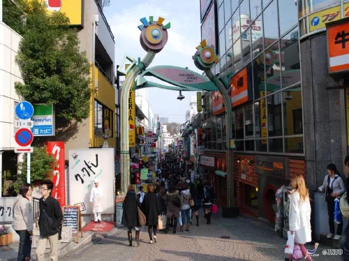 Harajuku Morning Walking Tour to Takeshita Street, Cat Street & Omotesando