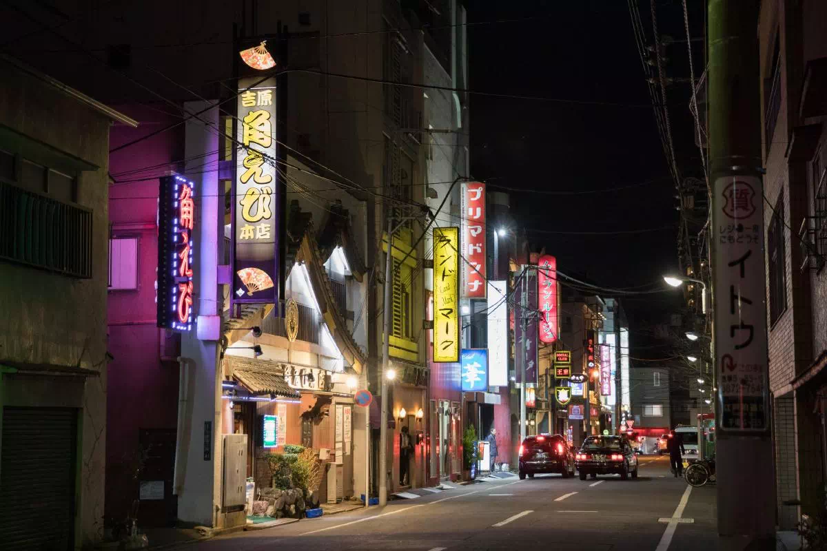 Tokyo Afternoon Cultural Walking Tour to Yoshiwara Red-Light District 