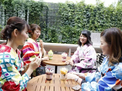 Full Day Classic or Modern Kimono Rental in Harajuku