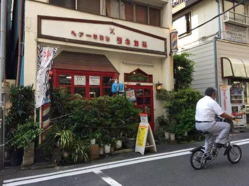 Tokyo Cultural Walking Tour to Ningyocho with Temple or Shrine Visit