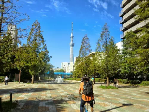 Bike Tour of Tokyo's Top Spots with a Local English-Speaking Guide